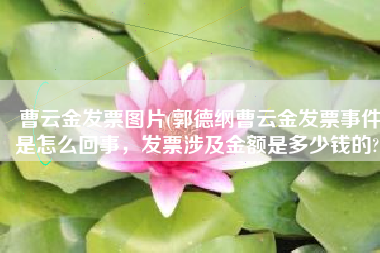 曹云金发票图片(郭德纲曹云金发票事件是怎么回事，发票涉及金额是多少钱的?)