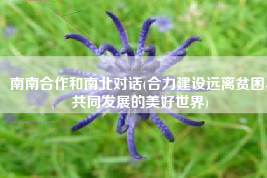 南南合作和南北对话(合力建设远离贫困、共同发展的美好世界)