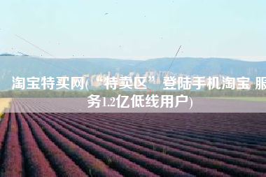 淘宝特买网(“特卖区”登陆手机淘宝 服务1.2亿低线用户)