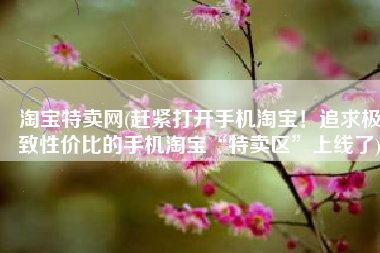 淘宝特卖网(赶紧打开手机淘宝！追求极致性价比的手机淘宝“特卖区”上线了)