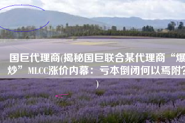 国巨代理商(揭秘国巨联合某代理商“爆炒”MLCC涨价内幕：亏本倒闭何以焉附？)