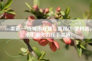 cvs渠道(一线城市经理：重视CVS便利店，永不消失的线下渠道)