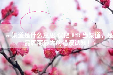 cvs渠道是什么意思(误把 B2B 当渠道，是品牌商最大的错误认知！)