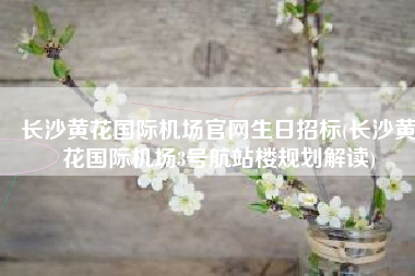 长沙黄花国际机场官网生日招标(长沙黄花国际机场3号航站楼规划解读)