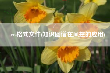 cvs格式文件(知识图谱在风控的应用)