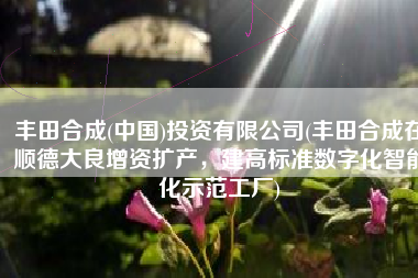 丰田合成(中国)投资有限公司(丰田合成在顺德大良增资扩产，建高标准数字化智能化示范工厂)