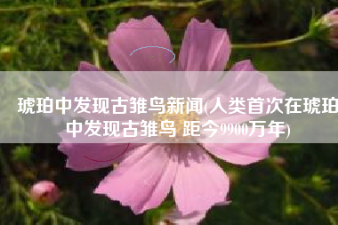 琥珀中发现古雏鸟新闻(人类首次在琥珀中发现古雏鸟 距今9900万年)