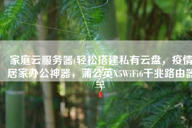 家庭云服务器(轻松搭建私有云盘，疫情居家办公神器，蒲公英X5WiFi6千兆路由器)