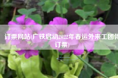 订票网站(广铁启动2022年春运外来工团体订票)