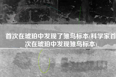 首次在琥珀中发现了雏鸟标本(科学家首次在琥珀中发现雏鸟标本)