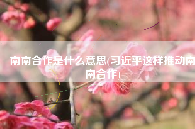南南合作是什么意思(习近平这样推动南南合作)