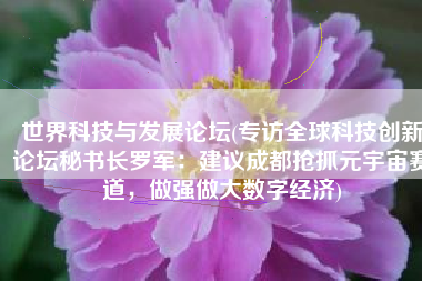 世界科技与发展论坛(专访全球科技创新论坛秘书长罗军：建议成都抢抓元宇宙赛道，做强做大数字经济)