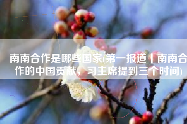 南南合作是哪些国家(第一报道丨南南合作的中国贡献，习主席提到三个时间)