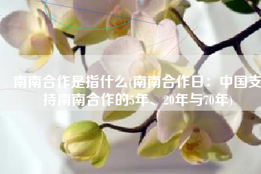 南南合作是指什么(南南合作日：中国支持南南合作的5年、20年与70年)