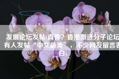 发展论坛发帖(真香？香港激进分子论坛有人发帖“中文最美”，不少网友留言表白)
