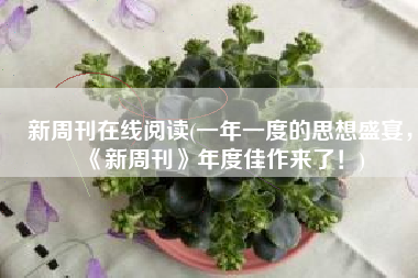 新周刊在线阅读(一年一度的思想盛宴，《新周刊》年度佳作来了！)