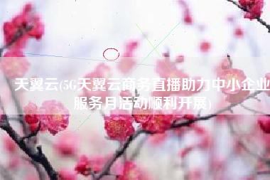 天翼云(5G天翼云商务直播助力中小企业服务月活动顺利开展)