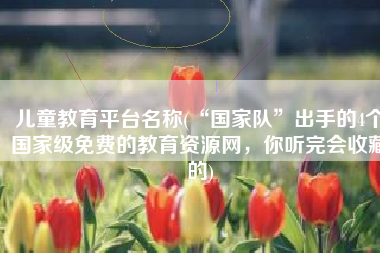 儿童教育平台名称(“国家队”出手的4个国家级免费的教育资源网，你听完会收藏的)