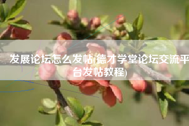 发展论坛怎么发帖(德才学堂论坛交流平台发帖教程)