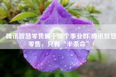 腾讯智慧零售属于哪个事业群(腾讯智慧零售，只有“半条命”)
