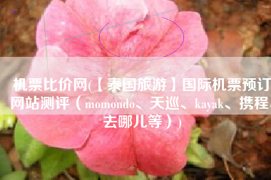 机票比价网(【泰国旅游】国际机票预订网站测评（momondo、天巡、kayak、携程、去哪儿等）)