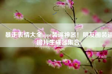暴走表情大全app(装逼神器！朋友圈装逼图片生成器集合)