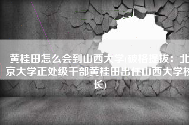 黄桂田怎么会到山西大学(破格提拔：北京大学正处级干部黄桂田出任山西大学校长)