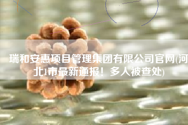 瑞和安惠项目管理集团有限公司官网(河北1市最新通报！多人被查处)