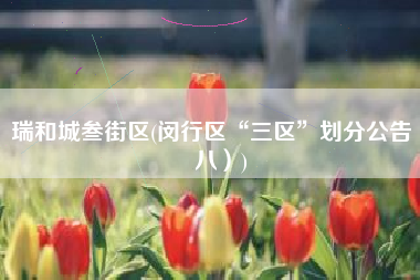 瑞和城叁街区(闵行区“三区”划分公告（八）)