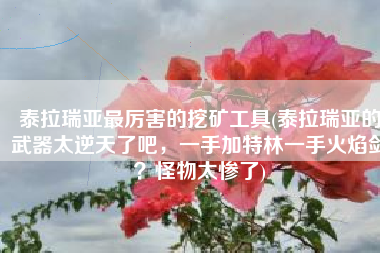 泰拉瑞亚最厉害的挖矿工具(泰拉瑞亚的武器太逆天了吧，一手加特林一手火焰剑？怪物太惨了)