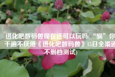 进化吧数码兽现在还可以玩吗(“驯”你千遍不厌倦《进化吧数码兽》15日全渠道不删档测试)