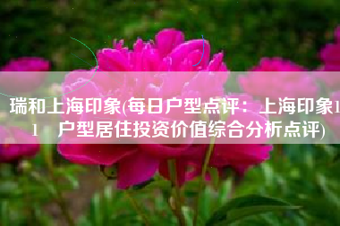 瑞和上海印象(每日户型点评：上海印象101㎡户型居住投资价值综合分析点评)