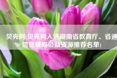 贝壳网(贝壳网入选湖南省教育厅、省通信管理局公益资源推荐名单)