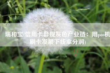 瑞和宝(信用卡套现灰色产业链：用pos机刷卡发展下线拿分润)
