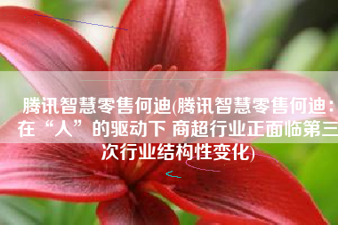 腾讯智慧零售何迪(腾讯智慧零售何迪：在“人”的驱动下 商超行业正面临第三次行业结构性变化)