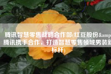 腾讯智慧零售战略合作部(红豆股份&腾讯携手合作，打造智慧零售领域男装新标杆)