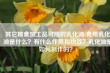 其它粮食加工品可用的乳化油(食用乳化油是什么？有什么作用和功效？乳化油是如何制作的？)