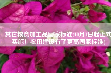 其它粮食加工品国家标准(10月1日起正式实施！农田建设有了更高国家标准)