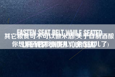 其它粮食可不可以做米酒(关于自制酒酿，你想知道的那些事儿，全在这儿了)