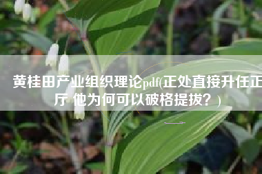 黄桂田产业组织理论pdf(正处直接升任正厅 他为何可以破格提拔？)