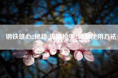钢铁雄心2秘籍(孤胆枪手2秘籍使用方法)