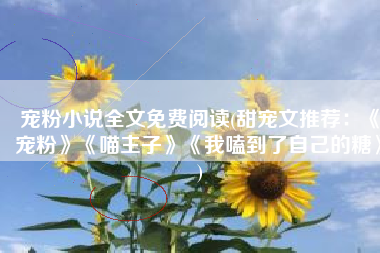宠粉小说全文免费阅读(甜宠文推荐：《宠粉》《喵主子》《我嗑到了自己的糖》)