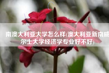 南澳大利亚大学怎么样(澳大利亚新南威尔士大学经济学专业好不好)