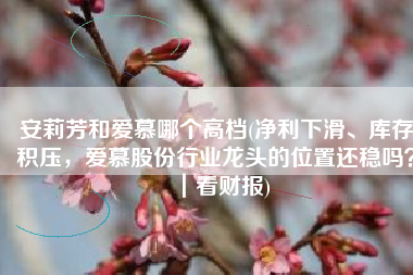 安莉芳和爱慕哪个高档(净利下滑、库存积压，爱慕股份行业龙头的位置还稳吗？｜看财报)