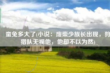 蛮兔多大了(小说：废柴少族长出现，狩猎队无视他，他却不以为然)