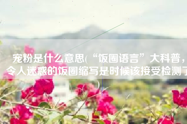 宠粉是什么意思(“饭圈语言”大科普，令人迷惑的饭圈缩写是时候该接受检测了)