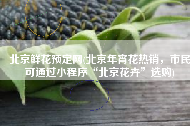 北京鲜花预定网(北京年宵花热销，市民可通过小程序“北京花卉”选购)