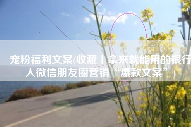 宠粉福利文案(收藏丨拿来就能用的银行人微信朋友圈营销“爆款文案”)
