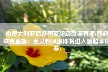 南澳大利亚后备国家超级联赛直播(澳超联赛直播：惠灵顿凤凰即将进入澳超季后赛)
