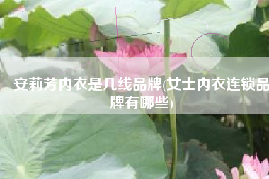 安莉芳内衣是几线品牌(女士内衣连锁品牌有哪些)